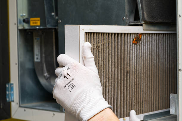 Best Affordable Duct Cleaning Services  in Lawrenceville, VA