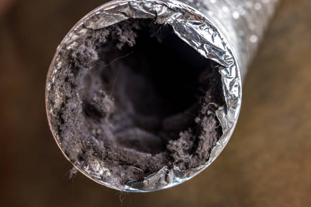 Best HVAC Duct Inspection Services  in Lawrenceville, VA