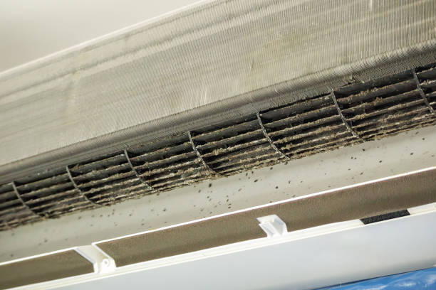 Best Home Air Vent Cleaning  in Lawrenceville, VA